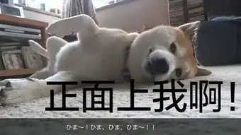  看奥运睡着被偷3次怎么回事