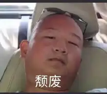  废柴的表情包小腚一瘫,小腿一翻,凡尘俗世,与我无关