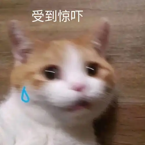  假如创造营学员去参加九大投行群面