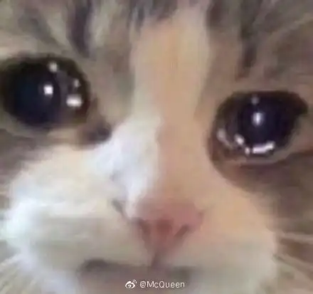 男女动图搞笑表情包咬手