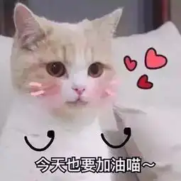 情侣表情包一对出租