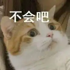  沙雕猫猫表情包