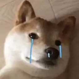  今天我不想干了