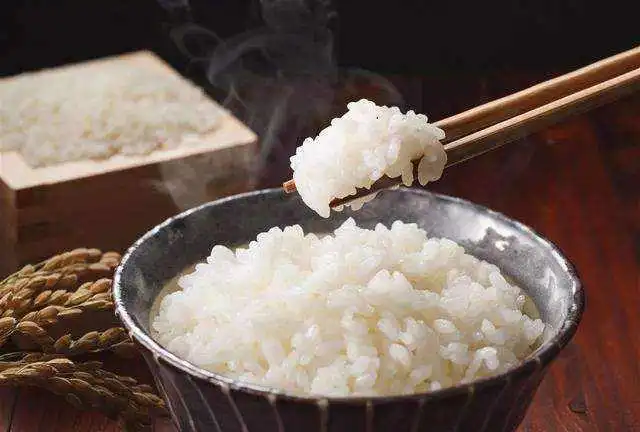  长期不吃主食,人会变得怎么样真的会变瘦吗