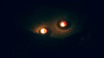  古代室内夜晚蜡烛图片