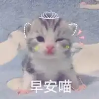 很好很好啊表情包