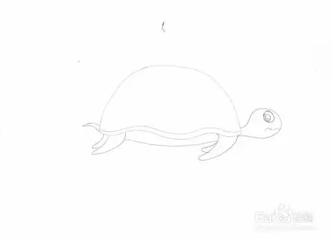  海底托运工乌龟与螃蟹