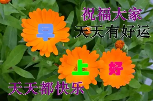  非常漂亮的早上好问候语表情包动态图片,最美早晨好动图美图大全