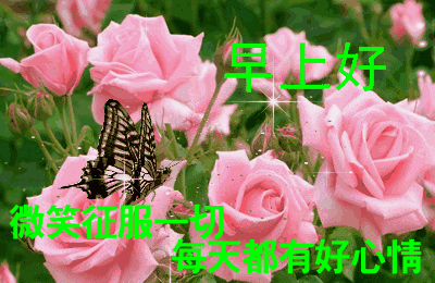  早上好的短句子早上好表情早上好问候专辑早上好表情包