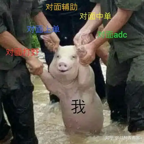  有哪些特别好玩搞笑的英雄联盟表情包呢