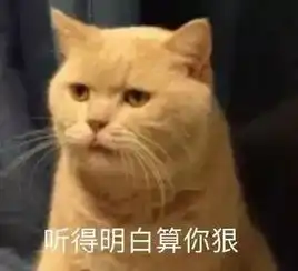 担心表情包猫咪暑假