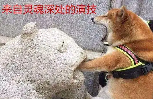 是谁住在深海的大菠萝里