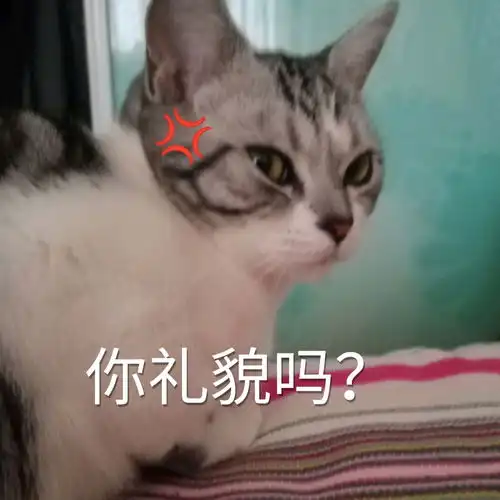  分享猫猫表情包