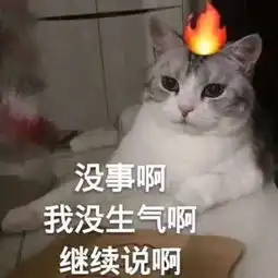  可爱猫系表情包,一起看猫片