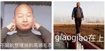  每个精致女孩的表情包里,都有无数土味老男人