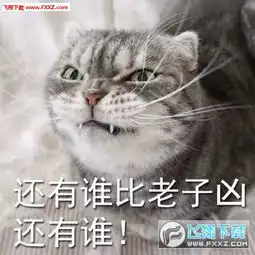  我凶死你猫咪表情包下载我叫起来超凶的表情包下载飞翔下载