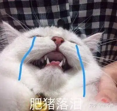 抖音霸屏表情包猫叫