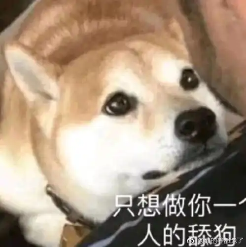  欧洲杯足彩app欧洲杯足彩app专业详细全面介绍v8.8.20ios安卓网页通用版入口
