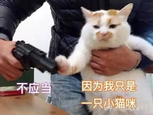  黄巢和宋江谁的选择对