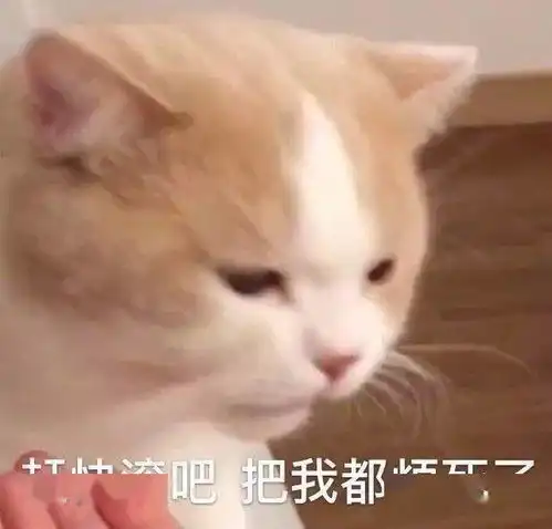  表情sir真不是人