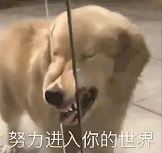  2021年度信息流创意迷惑行为大赏