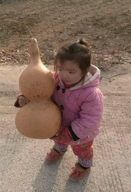  爆笑图合集这二哈吵架没输过,打架没赢过,绝招就是装死