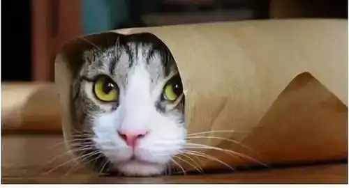  谁这么有才,新学期教师表情包,太像了......笑得肚子疼