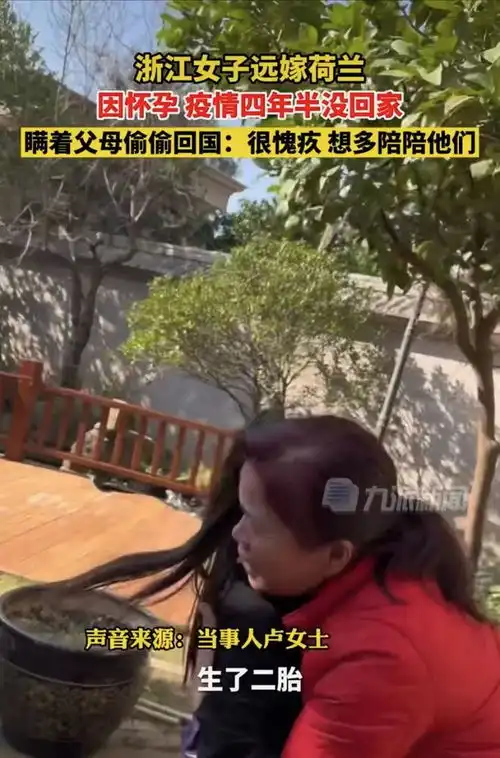 父亲的身影表情包远嫁