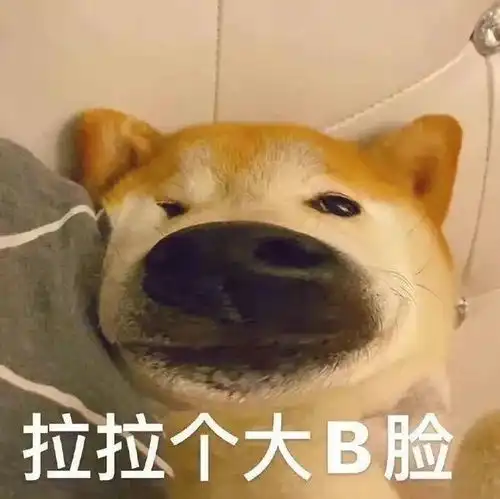  轩子巨2兔晒写真预告,回应海外开播怒斥引流传闻