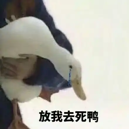  虽然很抱歉成了孩子他爸,但是我还是不准备退团