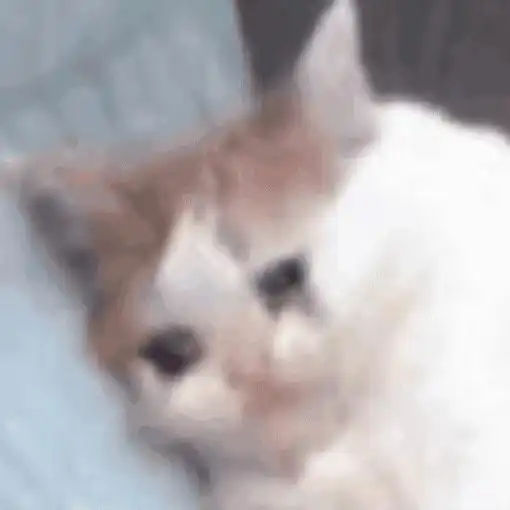  吴亦凡背后的神秘金主,落网了,这才是大瓜,你猜测是谁
