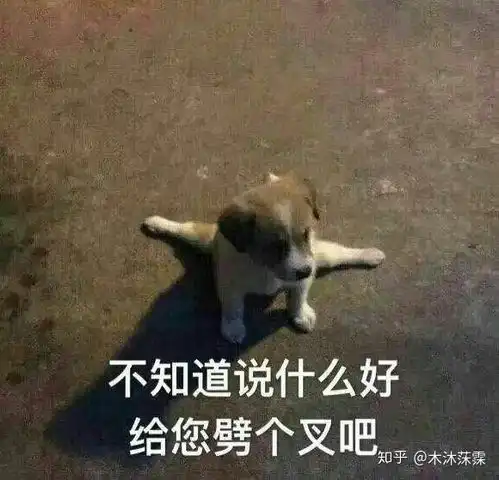  中国人喜欢看热闹,外国人不喜欢看这是一种什么心理
