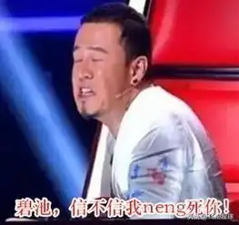 这没事吧杨坤表情包