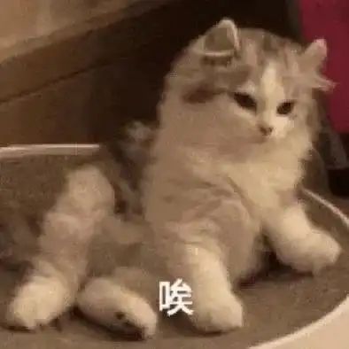  这条裙子,腿粗胯宽的女生新年千万不要穿
