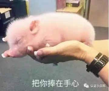  亚马逊要的ul测试报告最详合集