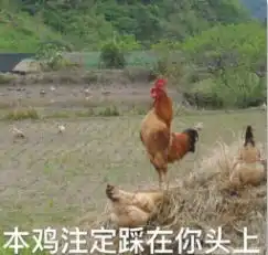 令人作藕表情包无水印环