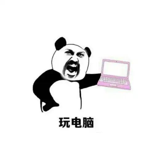  说好的我是掌上明猪呢