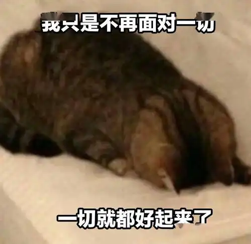  奇怪的猫猫表情增加了
