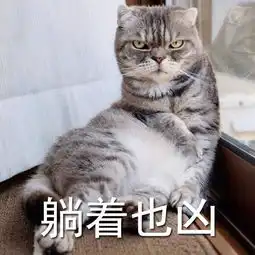  霸道总裁喵星人,女生专用表情包