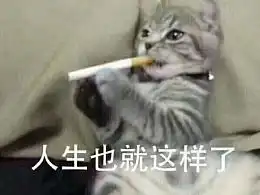 双叶杏人生啊表情包人生