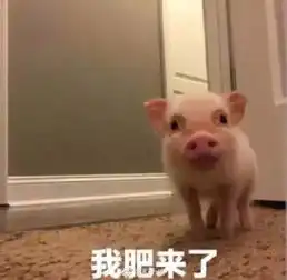 神探苍扒瓜你从未见过如此帅气的pddpdd登上时尚先生杂志 神探苍扒瓜你从未见过如此帅气的pddpdd登上时尚先生杂志