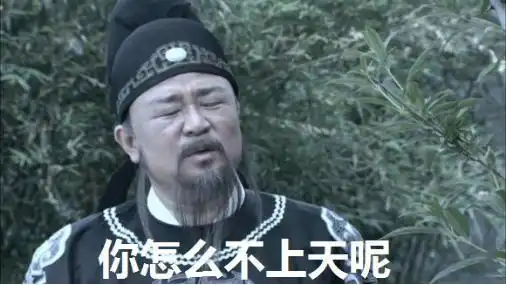  三亚会议生活就像虎鲸,就算面无表情的经过,也要给我重重一击