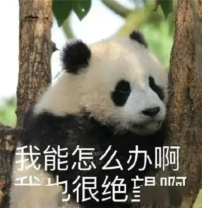  广西启动暴雨级应急响应,岑溪拉开雨周的序幕...