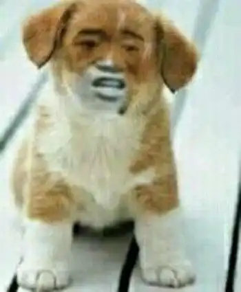  搞笑段子哥哥,这个姐姐比上次那个漂亮多了