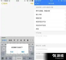  讯飞输入法iphone5.2.1526扩充表情高颜值有内涵
