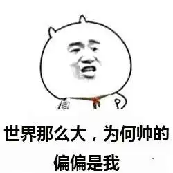 vue表情包小影