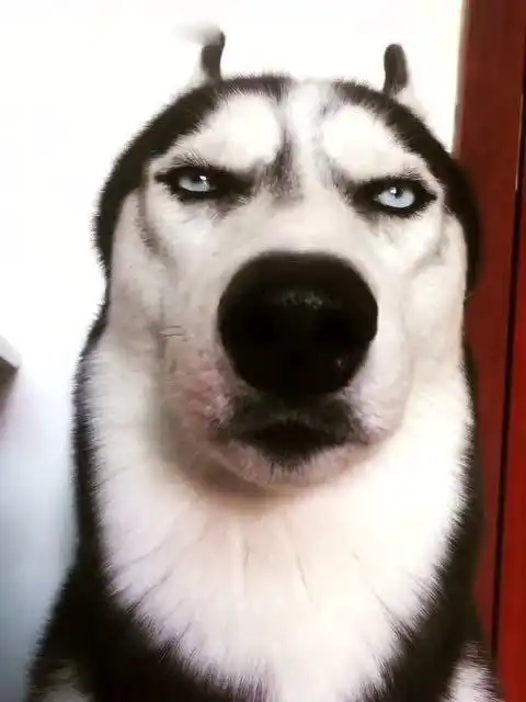  在家待的太闷了,来看看这里,给你解闷