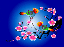  今天1月19日,太漂亮了,送给我最爱的朋友