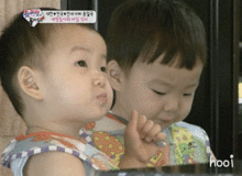  今天你吃肉了吗