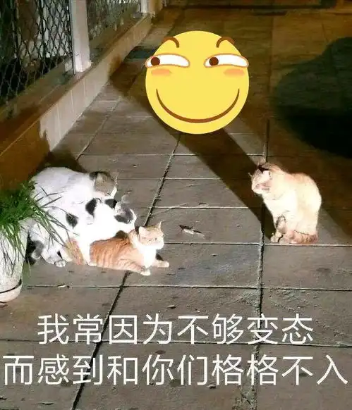  有一个爱刷抖音的男友是什么体验